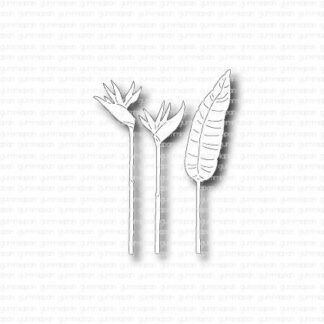 Small Tropical Flowers