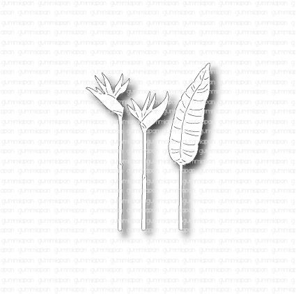 Small Tropical Flowers