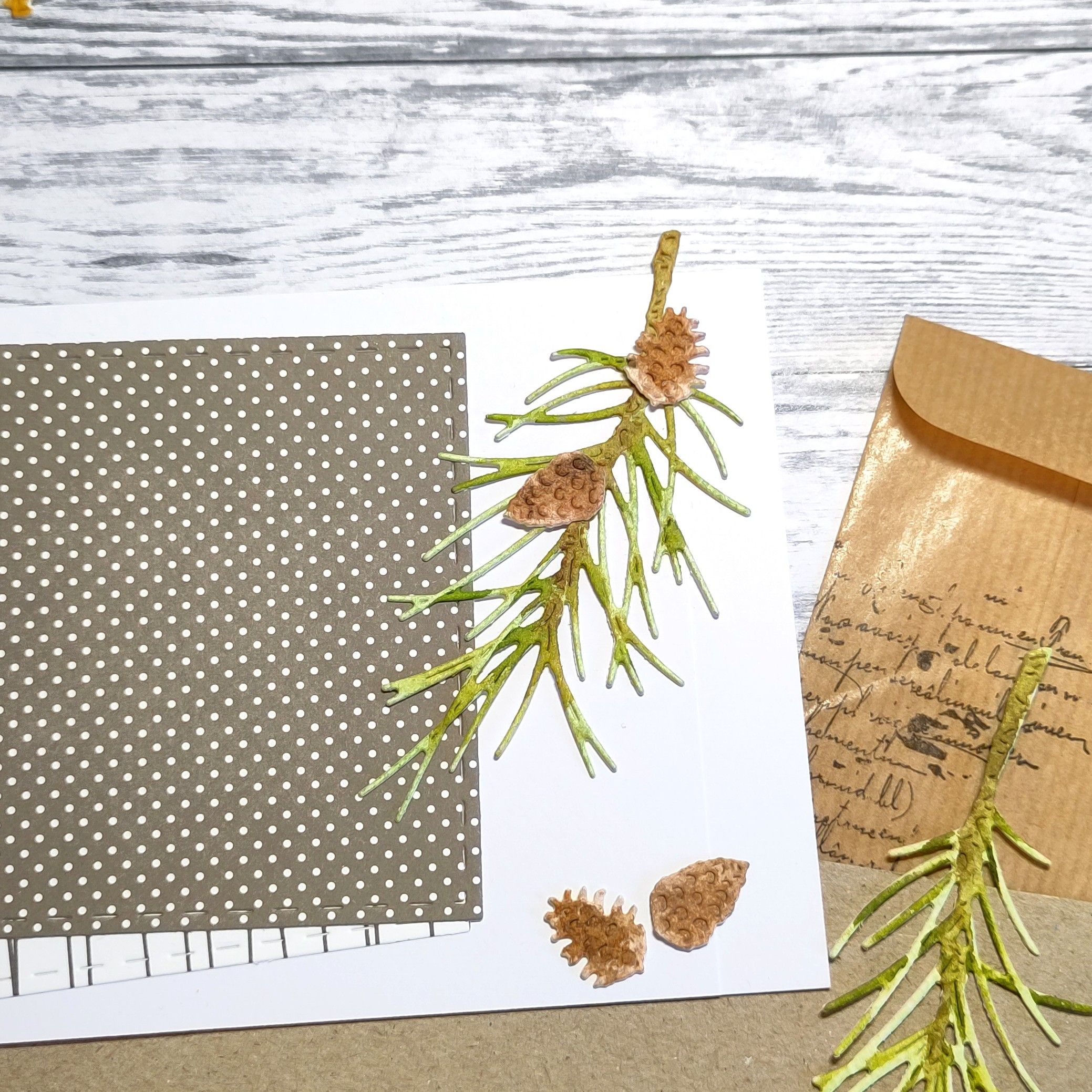 Små Kottar - Bild 2