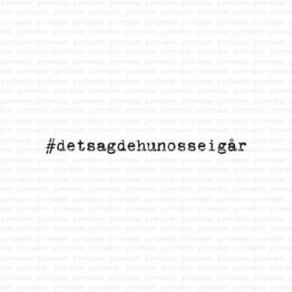 #detsagdehunosseigår