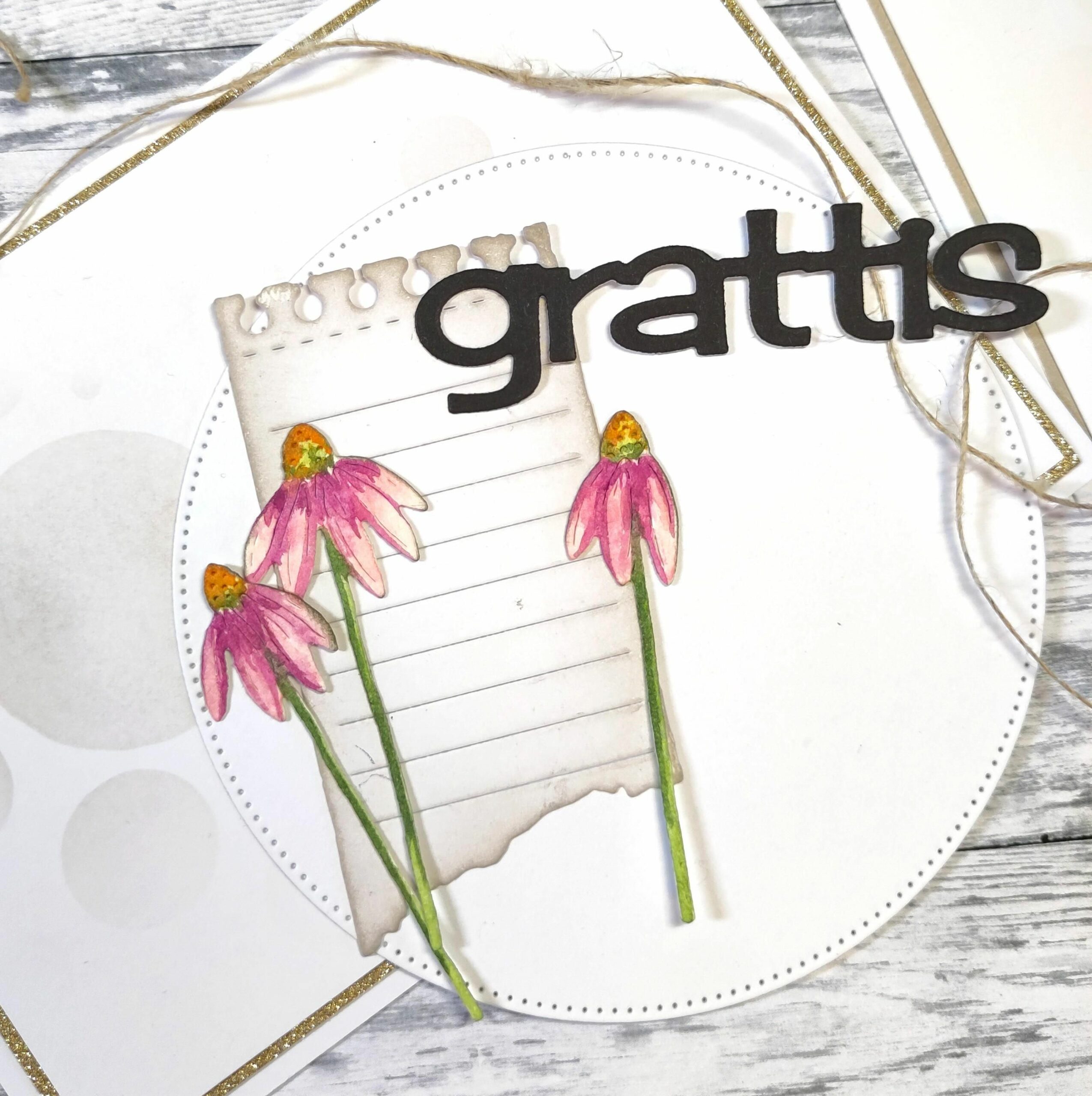 Rudbeckia Pretty Parasols - Bild 2