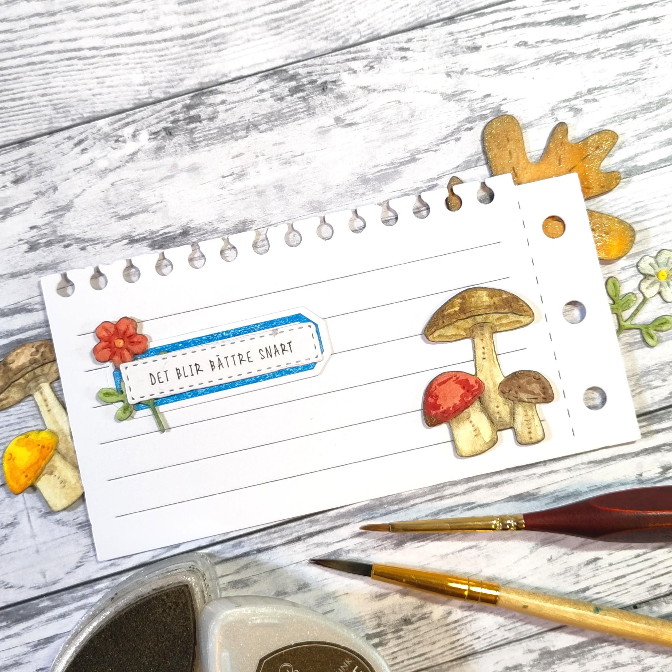 Porcini Mushrooms - Image 2