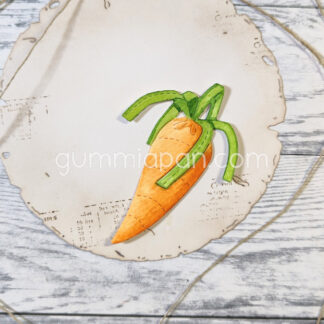Stitched Carrot
