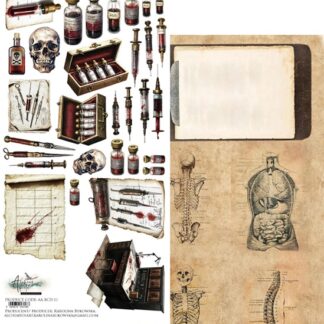 Alchemy of Art, 12x6 Cut Set: Behind Closed Doors