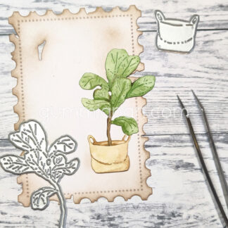 Large Fiddle Leaf Fig in Sack