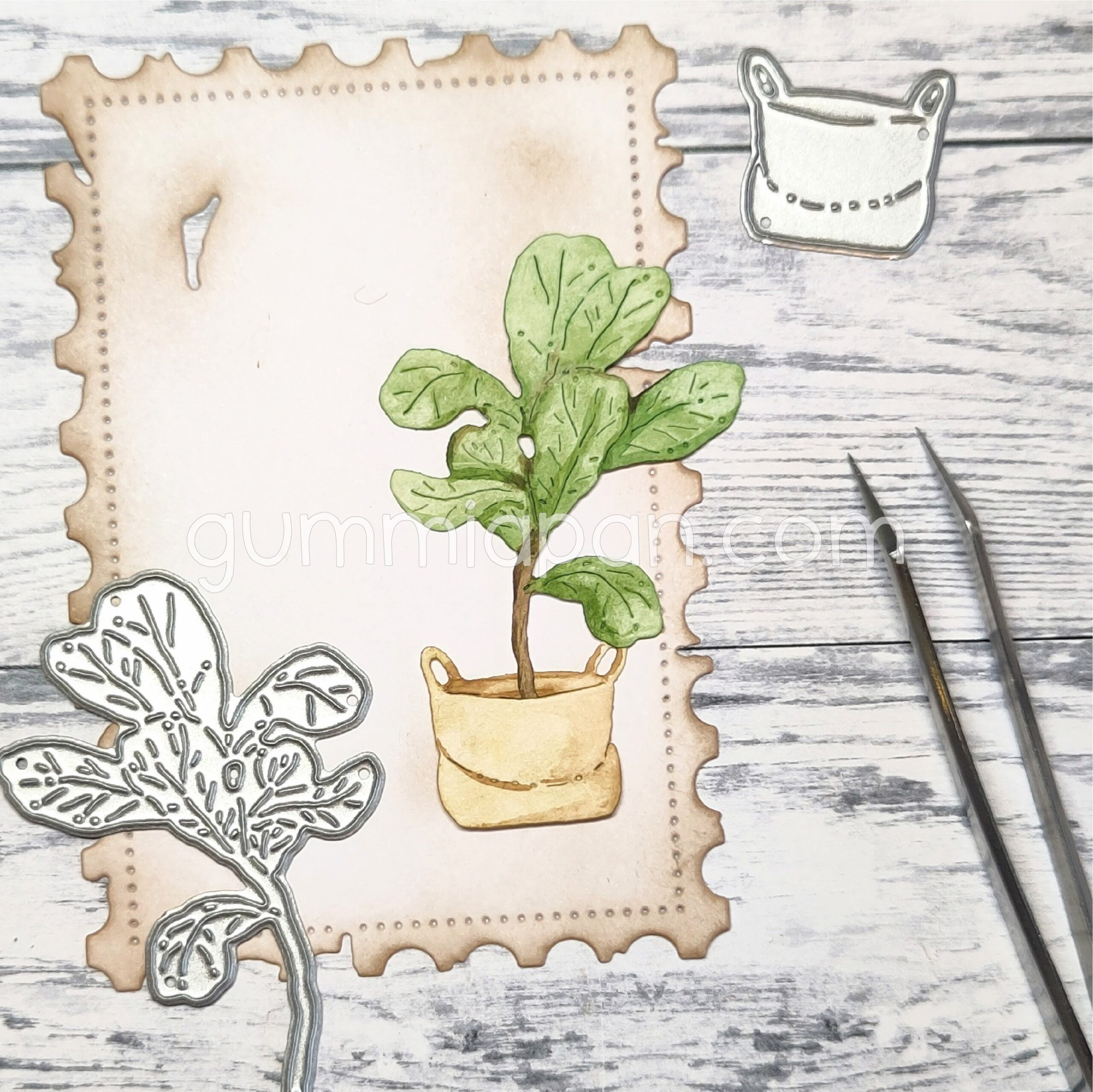 Large Fiddle Leaf Fig in Sack