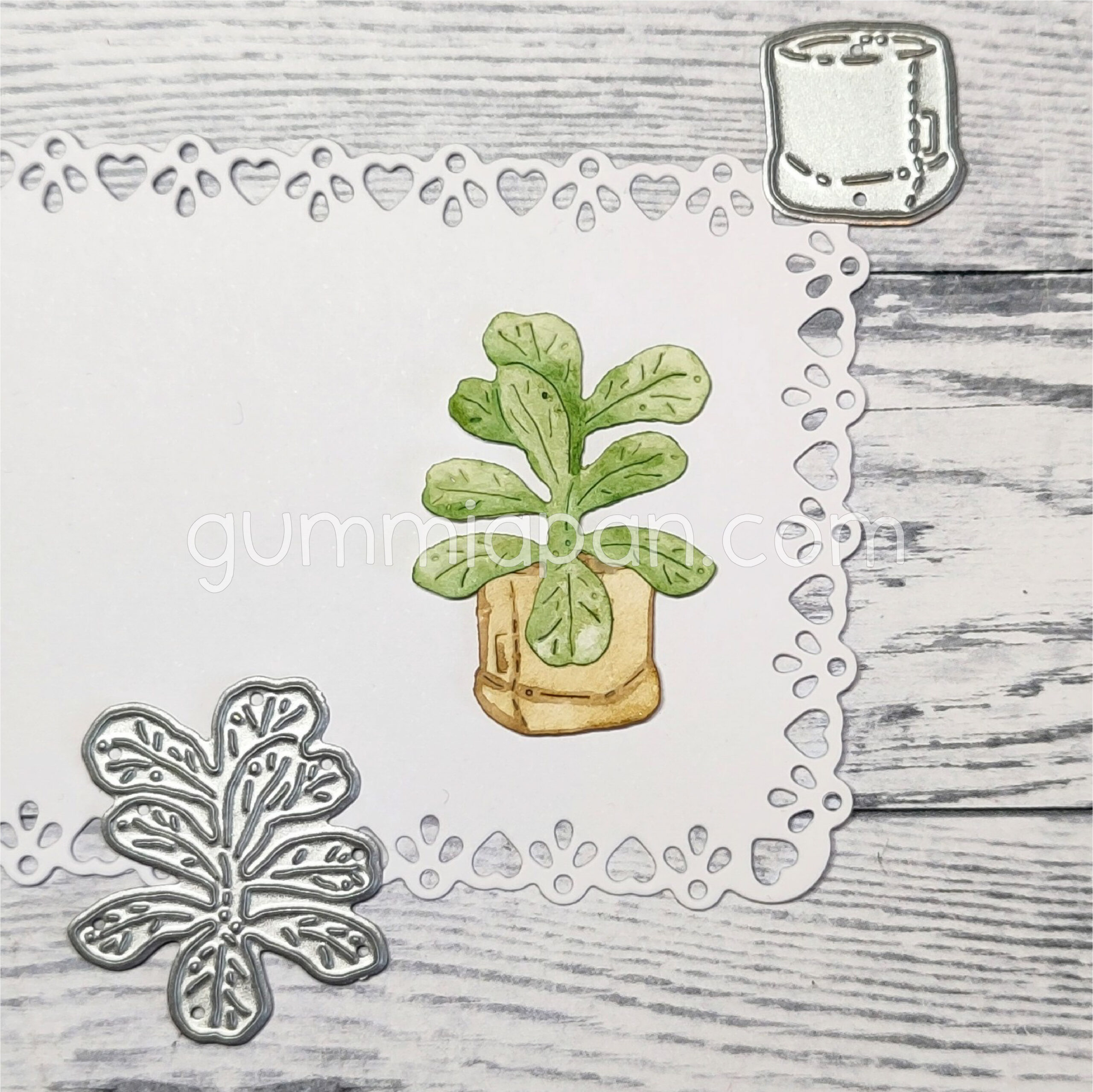 Small Fiddle Leaf Fig in Sack