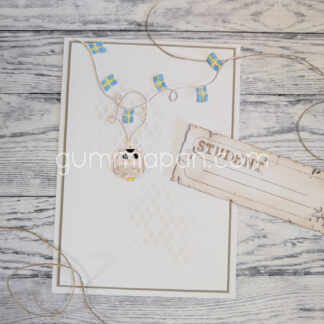 Graduation Owl