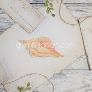Conch Shell
