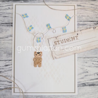 Graduation Teddy