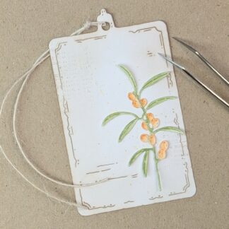 Sea Buckthorn