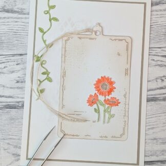Small Gerberas