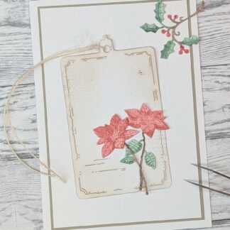 Poinsettia