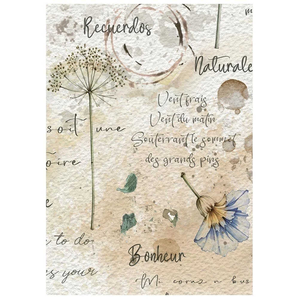 Stamperia, A6 Rice Paper: Flowers and Poems - Bild 5