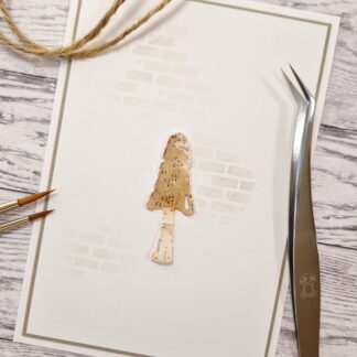 Thin Old Mushroom